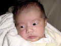 Popup: news2001_a03_01p.jpg