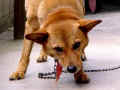 Popup: news2001_a47_04p.jpg