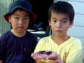 Popup: DSC03714