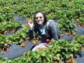 Popup: DSC03430