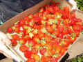Popup: DSC03448